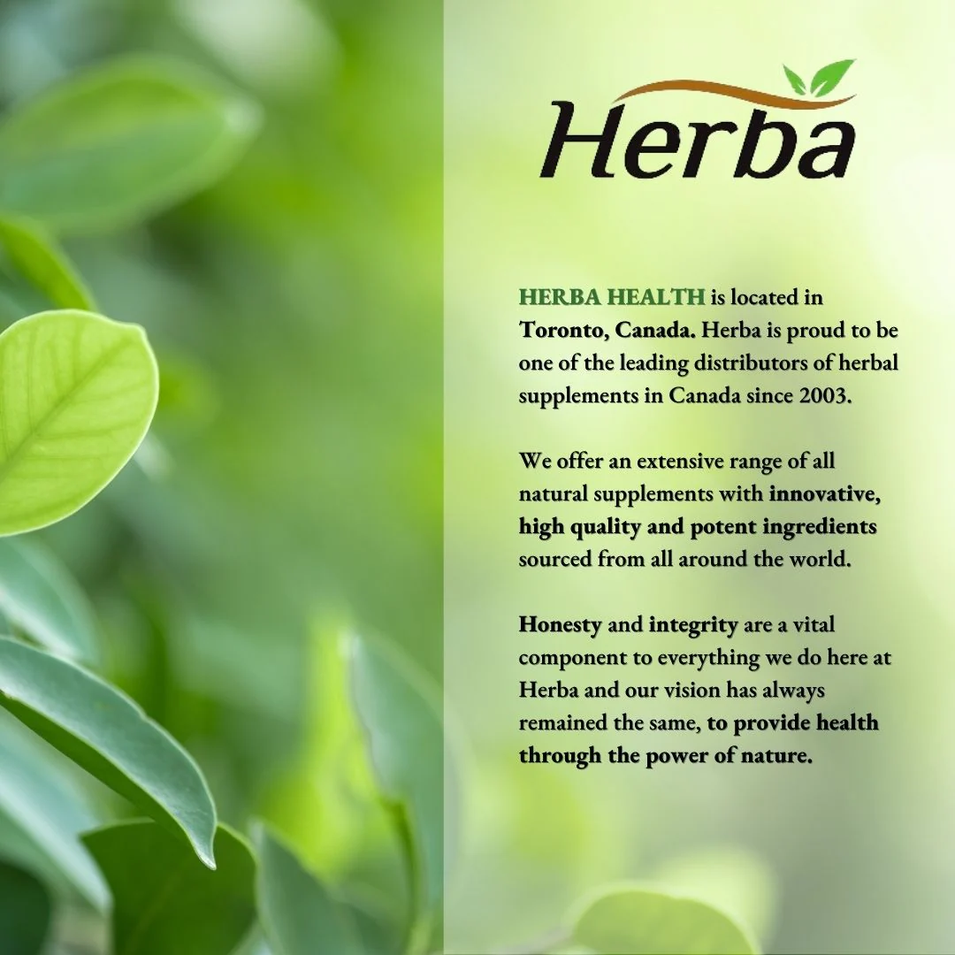 Albumin Protein Supplement – 240 Vegetable Capsules | Albumin Capsules with 16 Premium Ingredients - Image 10