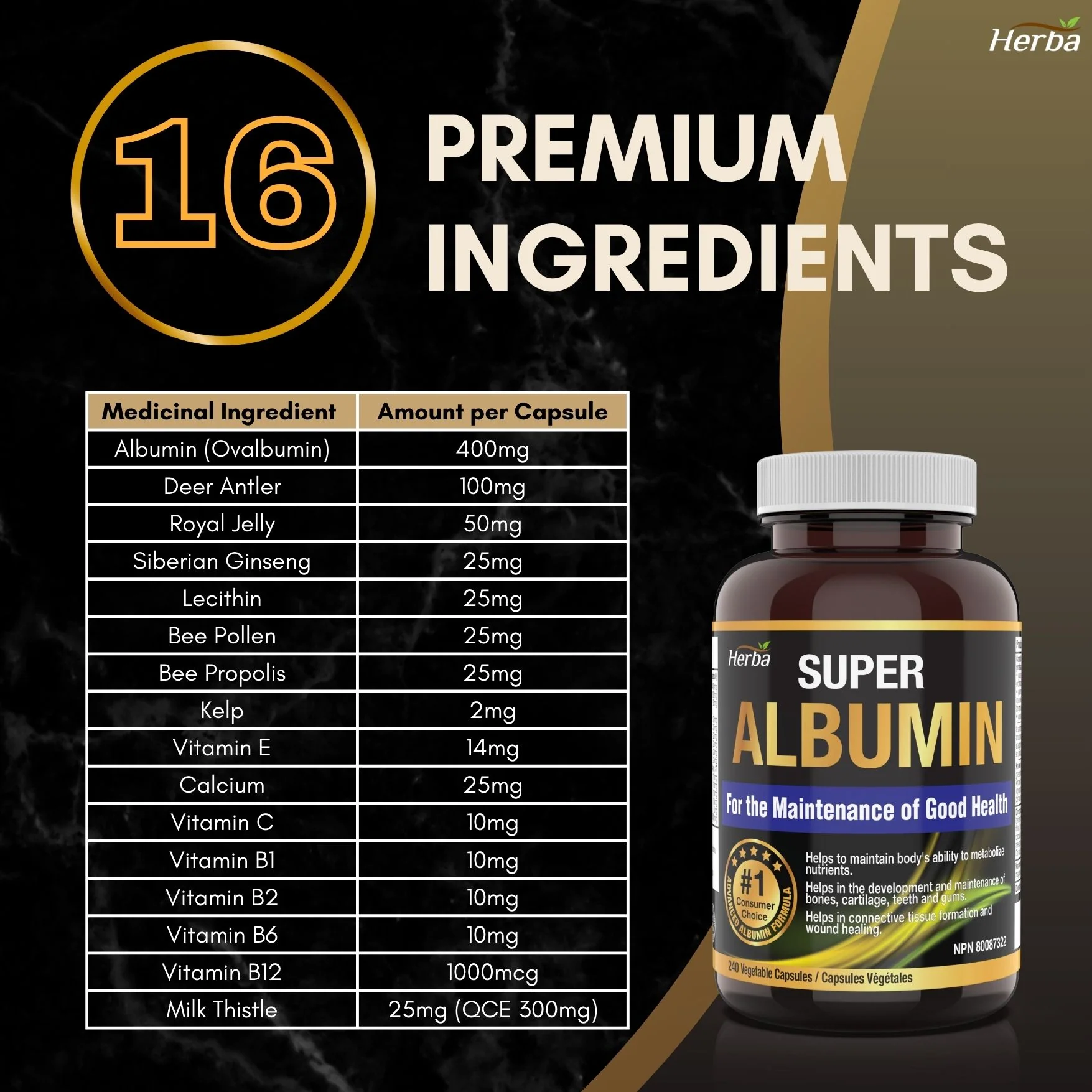 Albumin Protein Supplement – 240 Vegetable Capsules | Albumin Capsules with 16 Premium Ingredients - Image 5
