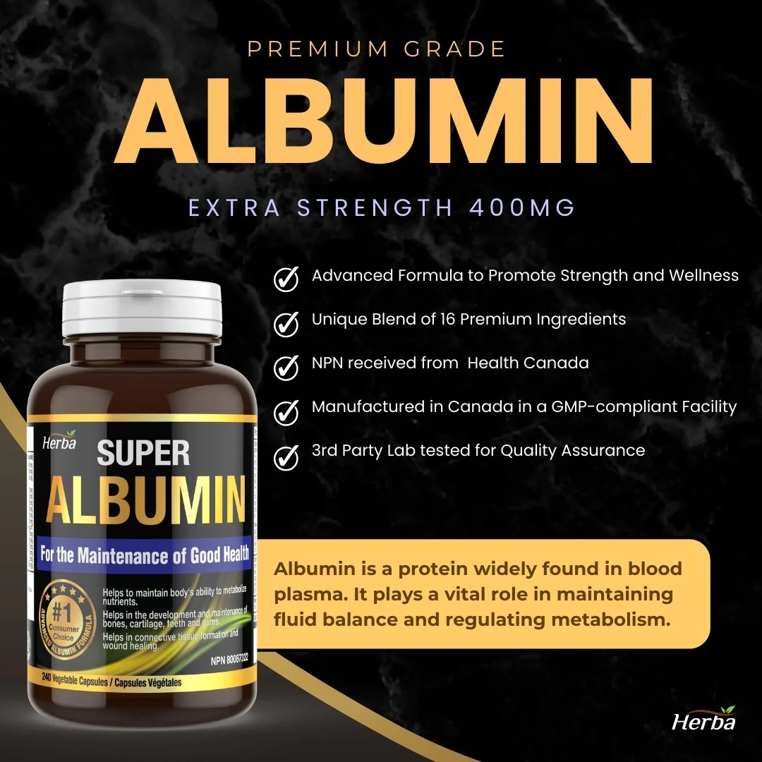 Albumin Protein Supplement – 240 Vegetable Capsules | Albumin Capsules with 16 Premium Ingredients - Image 6