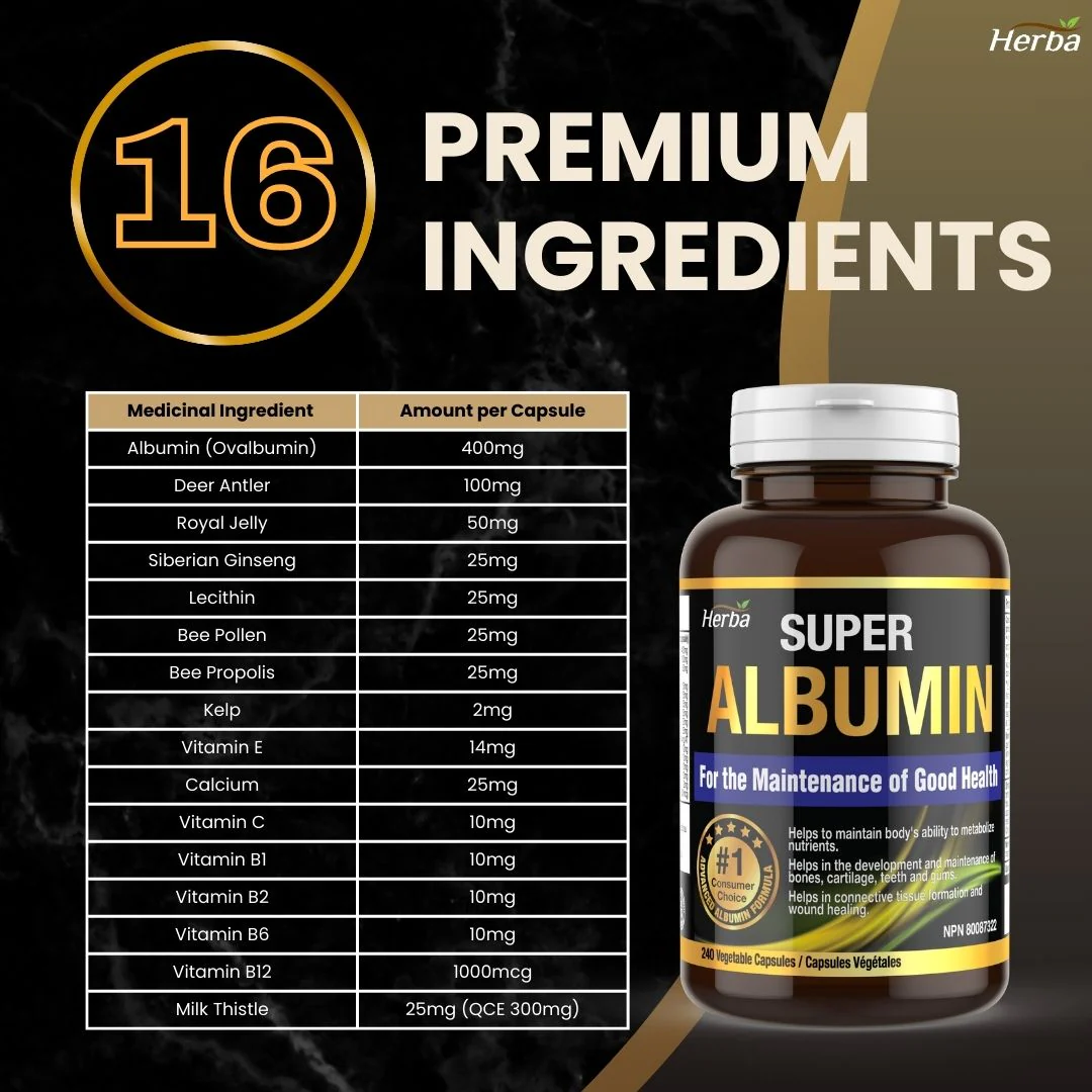 Albumin Protein Supplement – 240 Vegetable Capsules | Albumin Capsules with 16 Premium Ingredients - Image 7