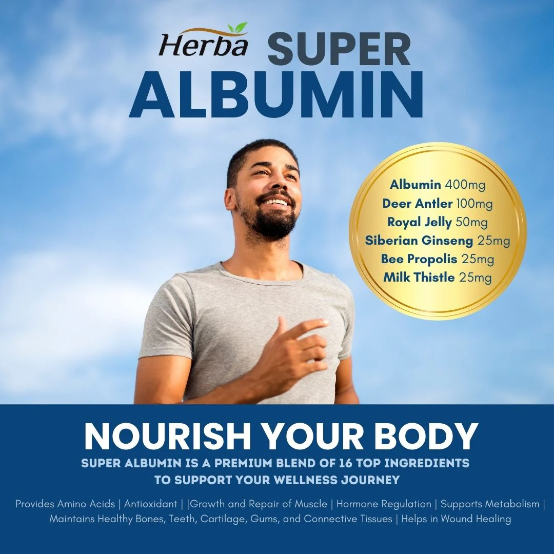 Albumin Protein Supplement – 240 Vegetable Capsules | Albumin Capsules with 16 Premium Ingredients - Image 8