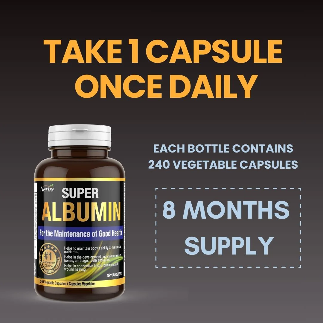 Albumin Protein Supplement – 240 Vegetable Capsules | Albumin Capsules with 16 Premium Ingredients - Image 9