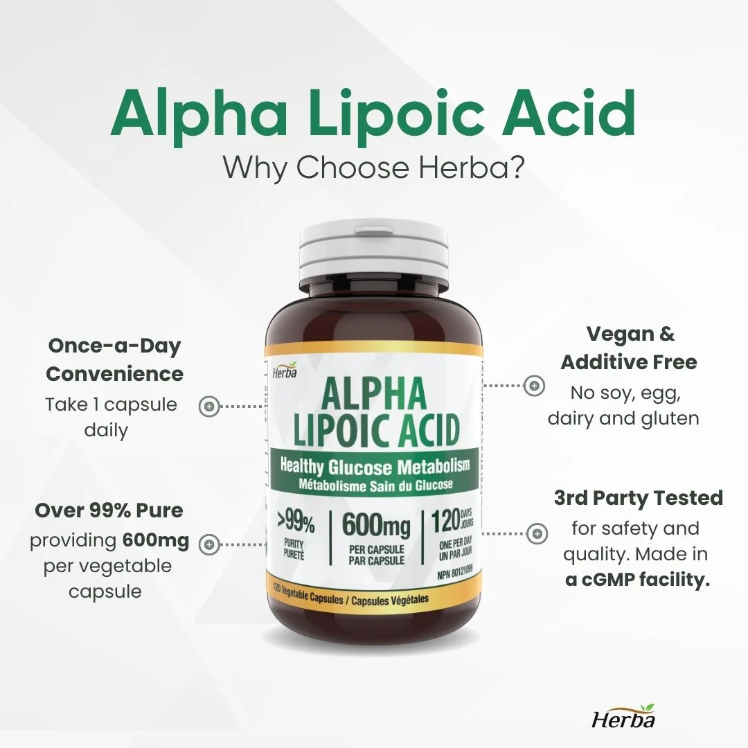 Alpha Lipoic Acid 600mg - 120 Capsules | Made in Canada - Image 3