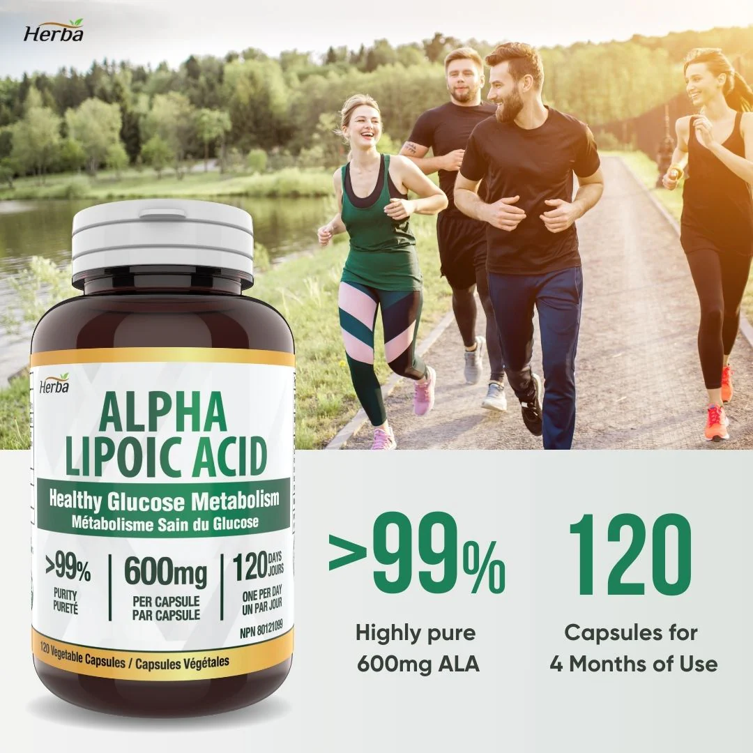 Alpha Lipoic Acid 600mg - 120 Capsules | Made in Canada - Image 4