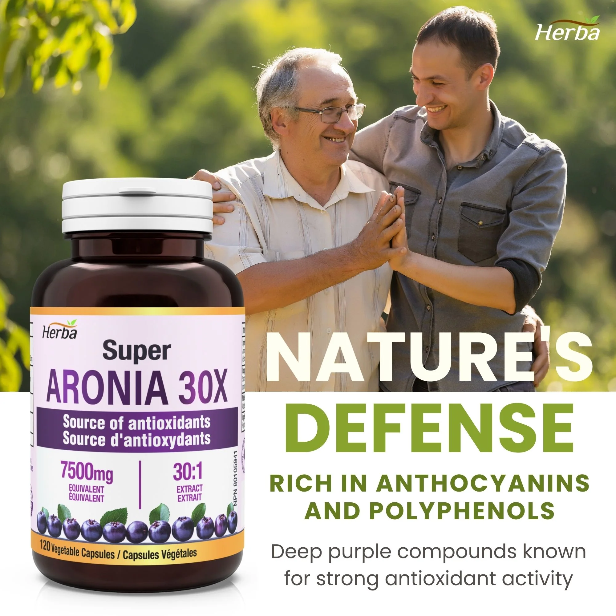 Aronia Berry Extract 250mg – 120 Capsules | 7500mg Fruit Equivalent | 30:1 Aronia Extract Supplement - Image 5
