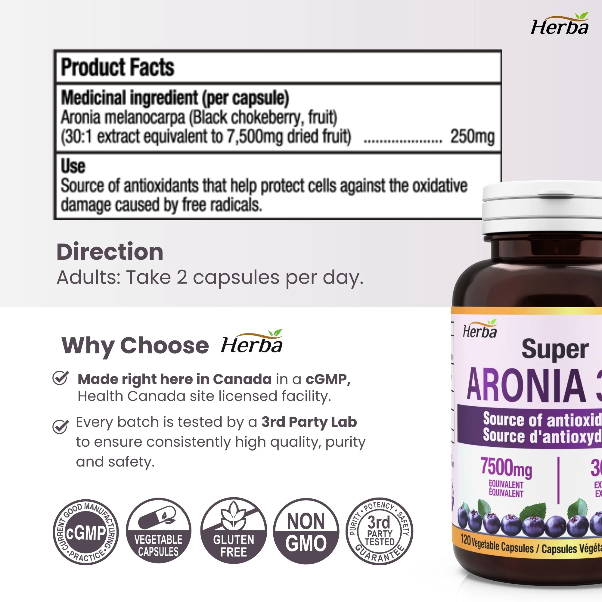 Aronia Berry Extract 250mg – 120 Capsules | 7500mg Fruit Equivalent | 30:1 Aronia Extract Supplement - Image 7