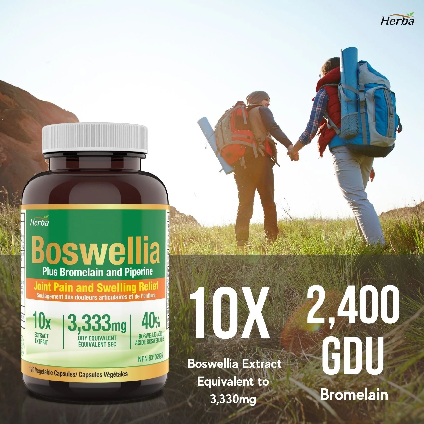 Boswellia Serrata Capsules with Bromelain Supplement - 120 Capsules - Image 5