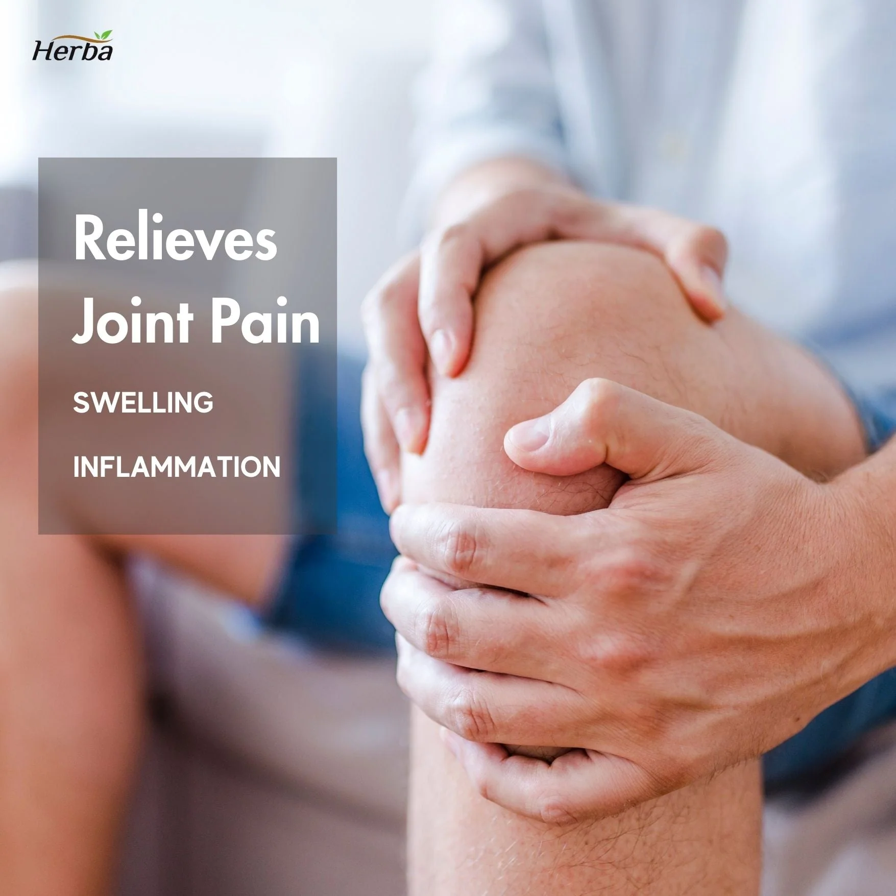 Boswellia Serrata Capsules with Bromelain Supplement - 120 Capsules - Image 6