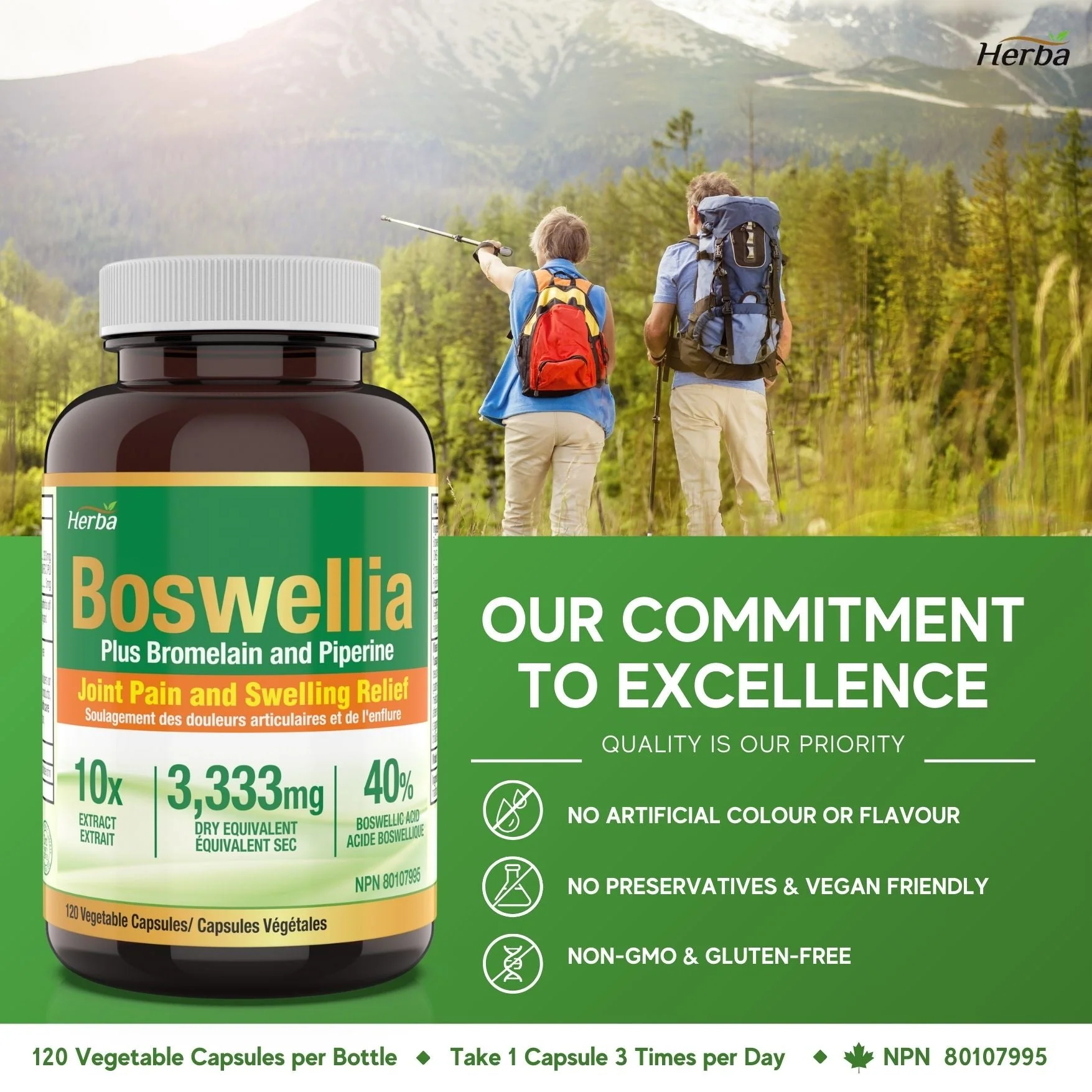 Boswellia Serrata Capsules with Bromelain Supplement - 120 Capsules - Image 7