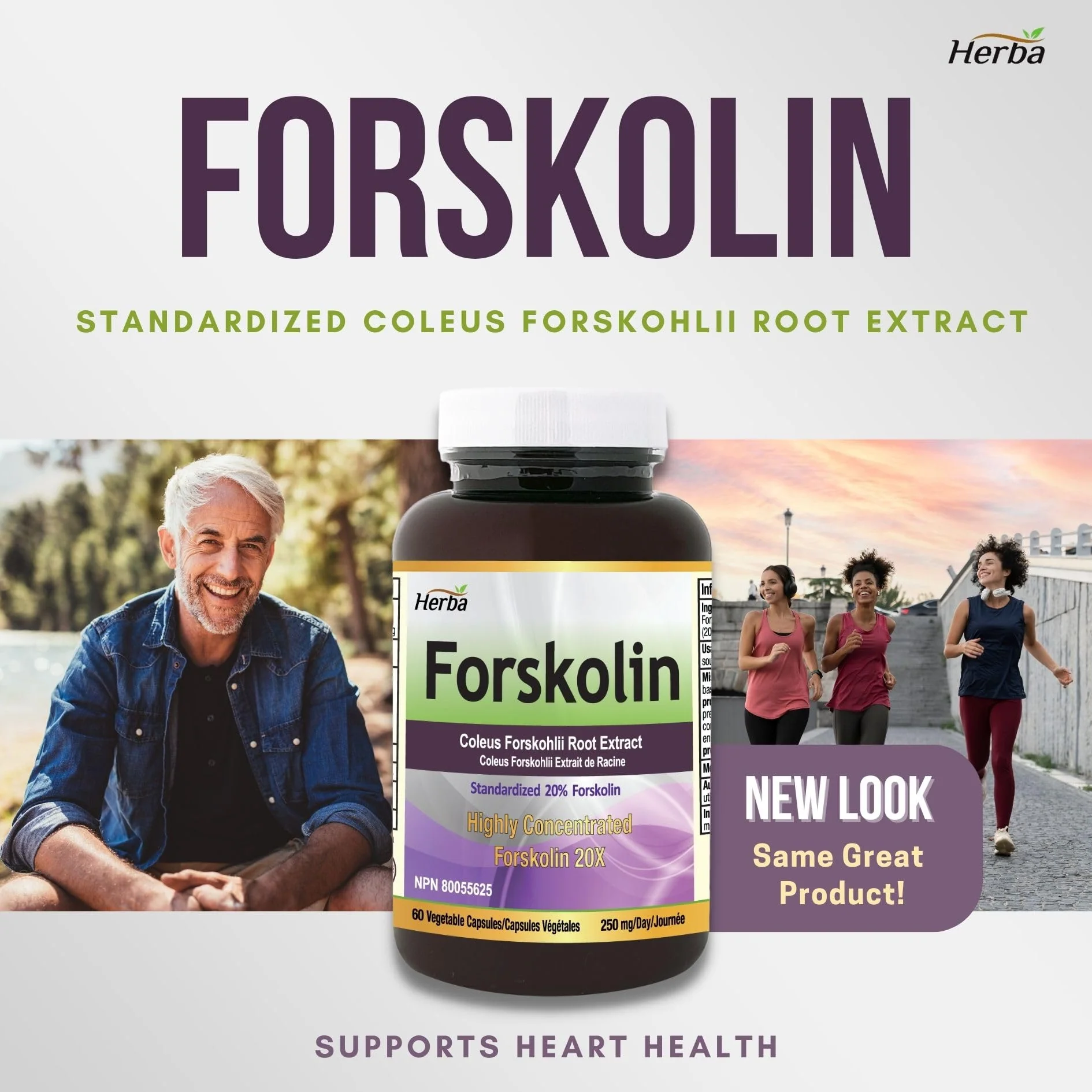 Forskolin Supplements - 125mg, 60 Vegetable Capsules- Forskolin Extract - Made in Canada - Image 3