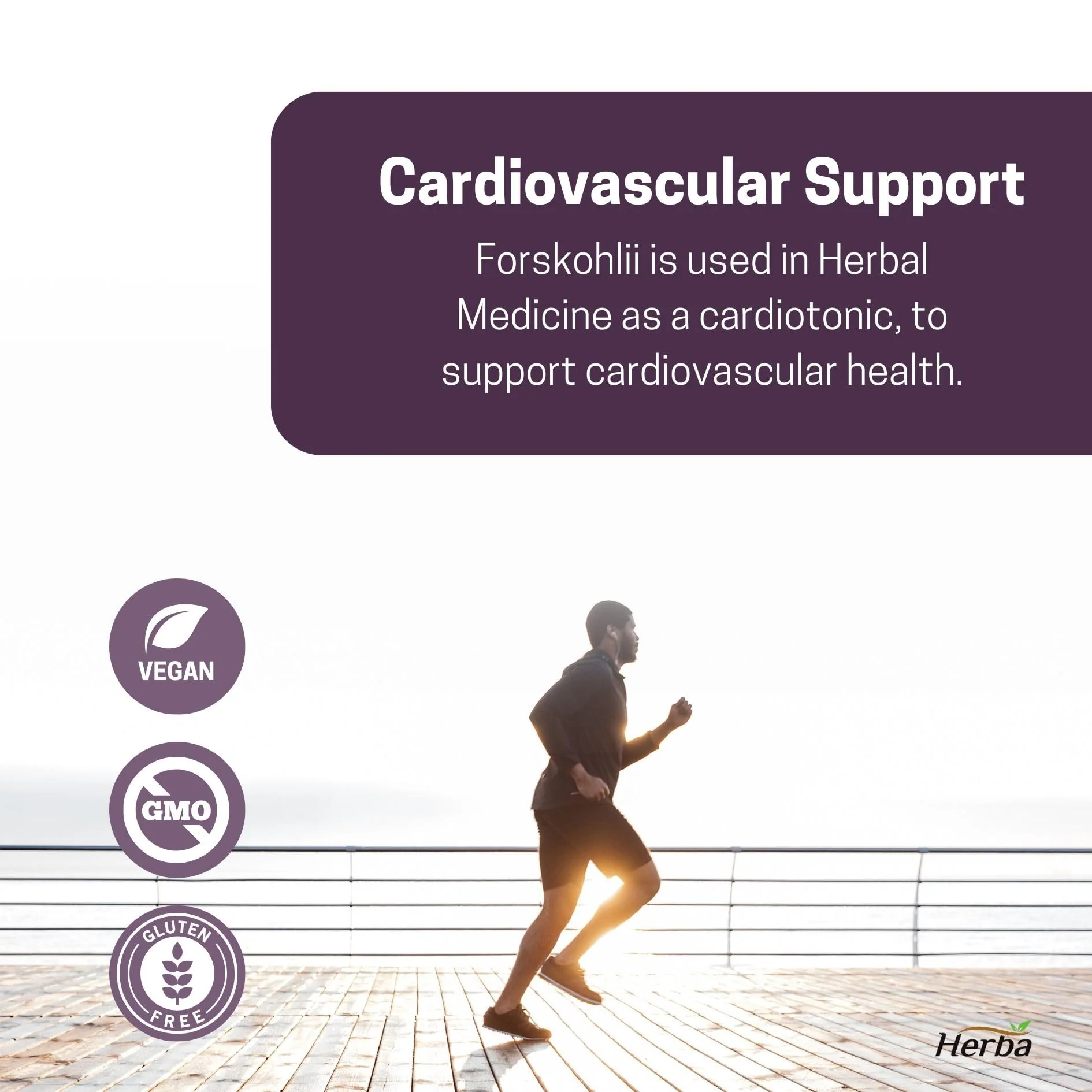 Forskolin Supplements - 125mg, 60 Vegetable Capsules- Forskolin Extract - Made in Canada - Image 5