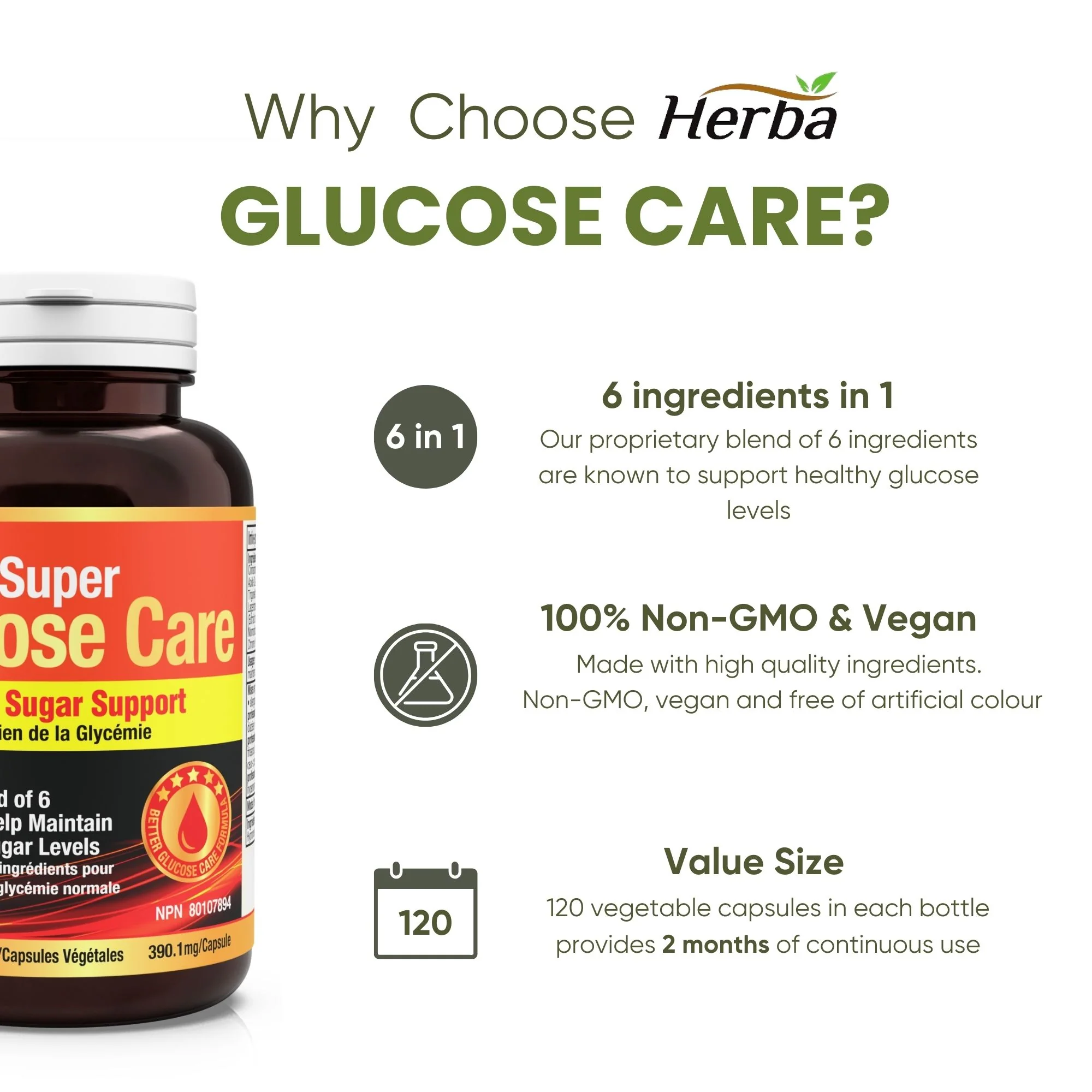 Glucose Care - 120 Capsules | Blood Sugar Support with 6 Ingredients - Image 6