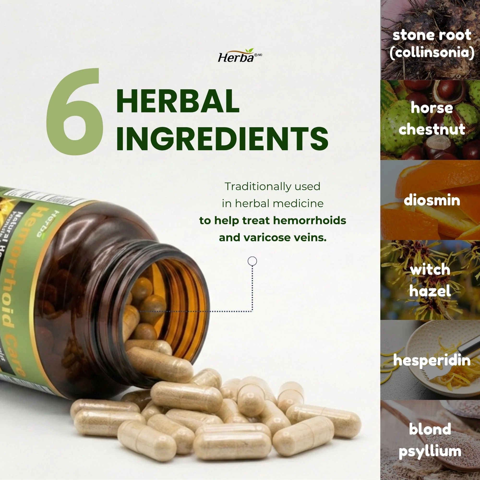 Hemorrhoid Care - 90 Capsules - Image 5