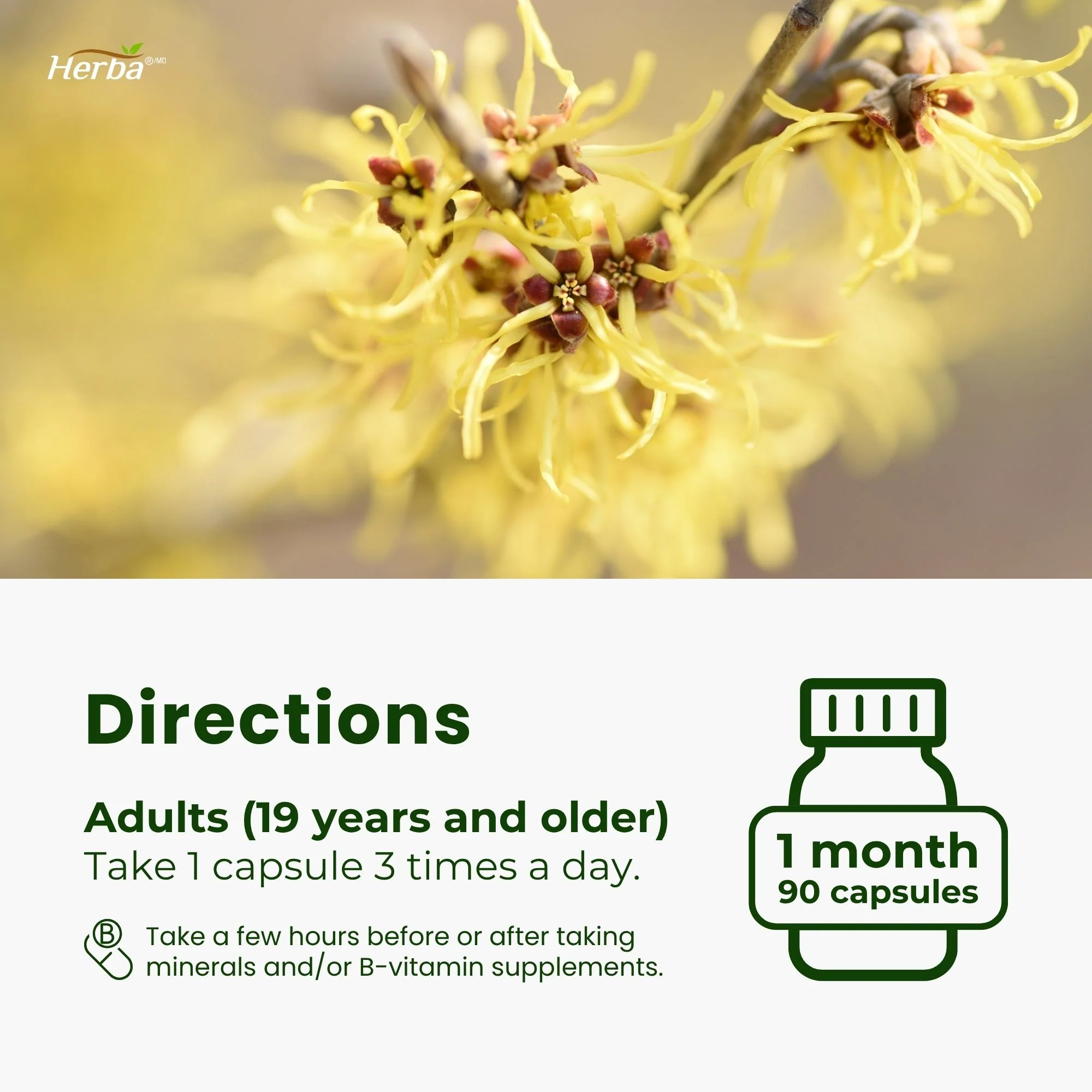 Hemorrhoid Care - 90 Capsules - Image 6