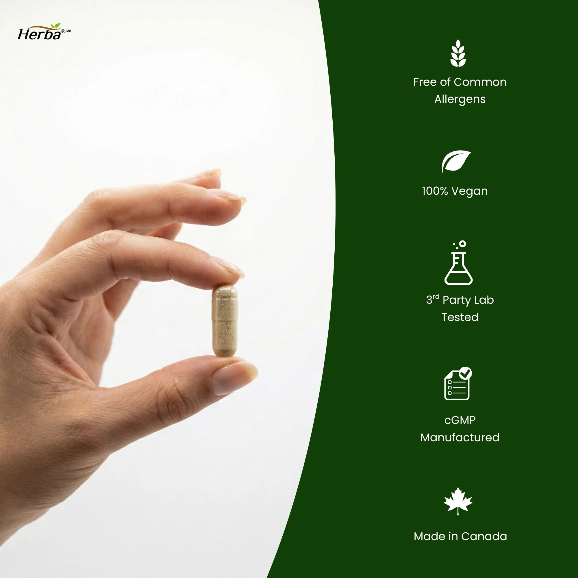 Hemorrhoid Care - 90 Capsules - Image 8