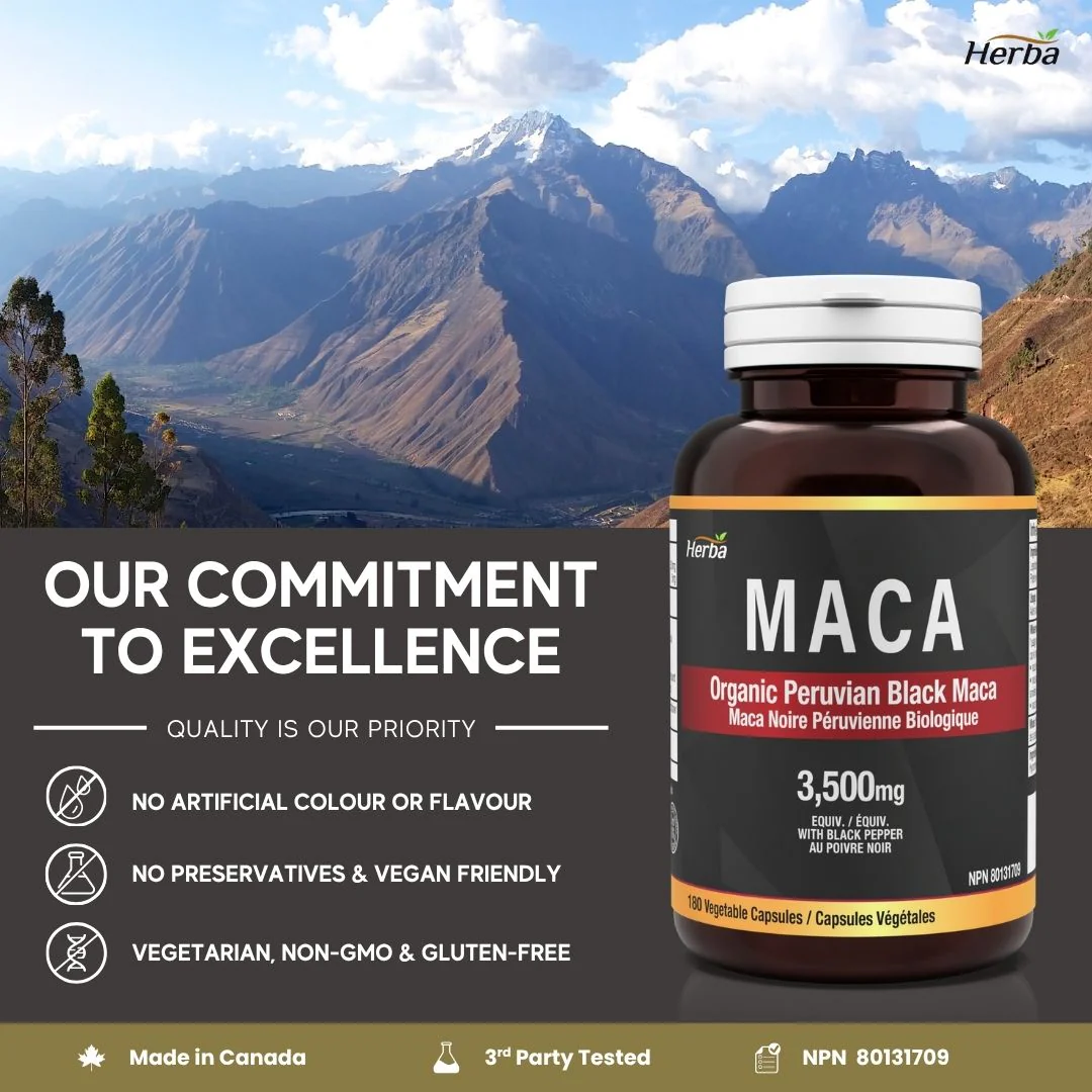 Organic Black Maca Capsules - 3500mg, 180 Capsules | Peruvian Black Maca | Made in Canada - Image 7
