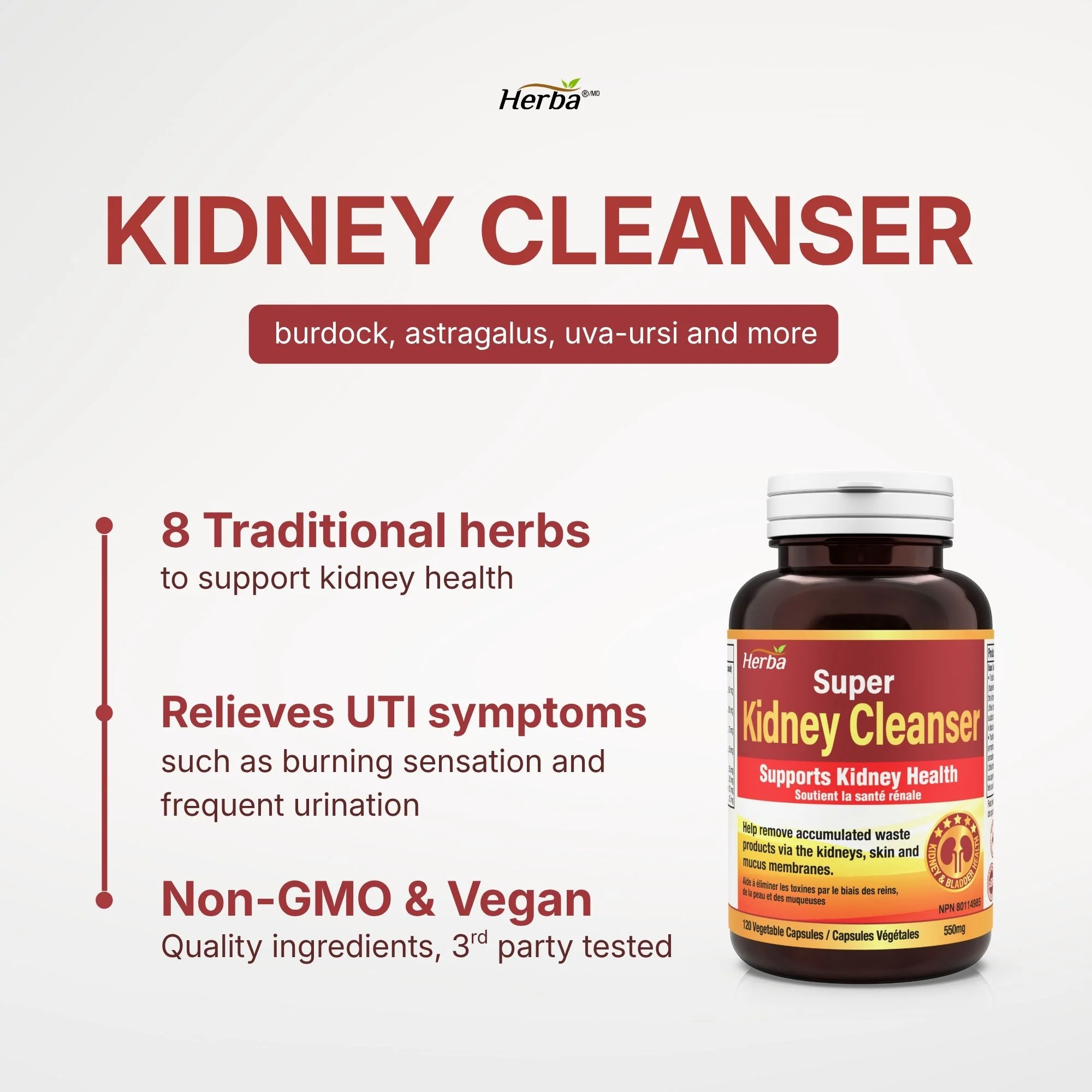 Kidney Cleanse Supplement – 120 Capsules | 8 Natural Ingredients to Support Kidney and Bladder Health - Image 4