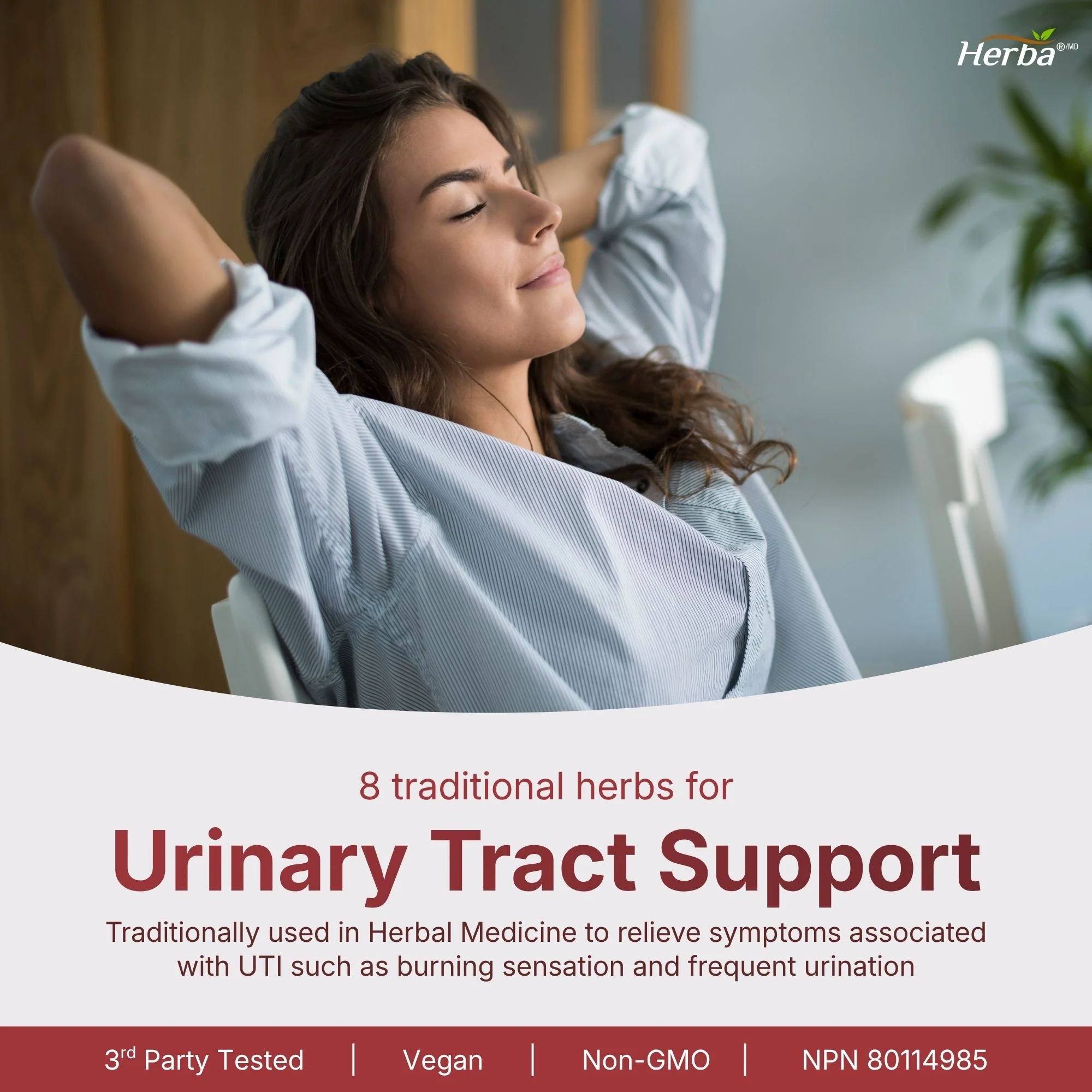 Kidney Cleanse Supplement – 120 Capsules | 8 Natural Ingredients to Support Kidney and Bladder Health - Image 5