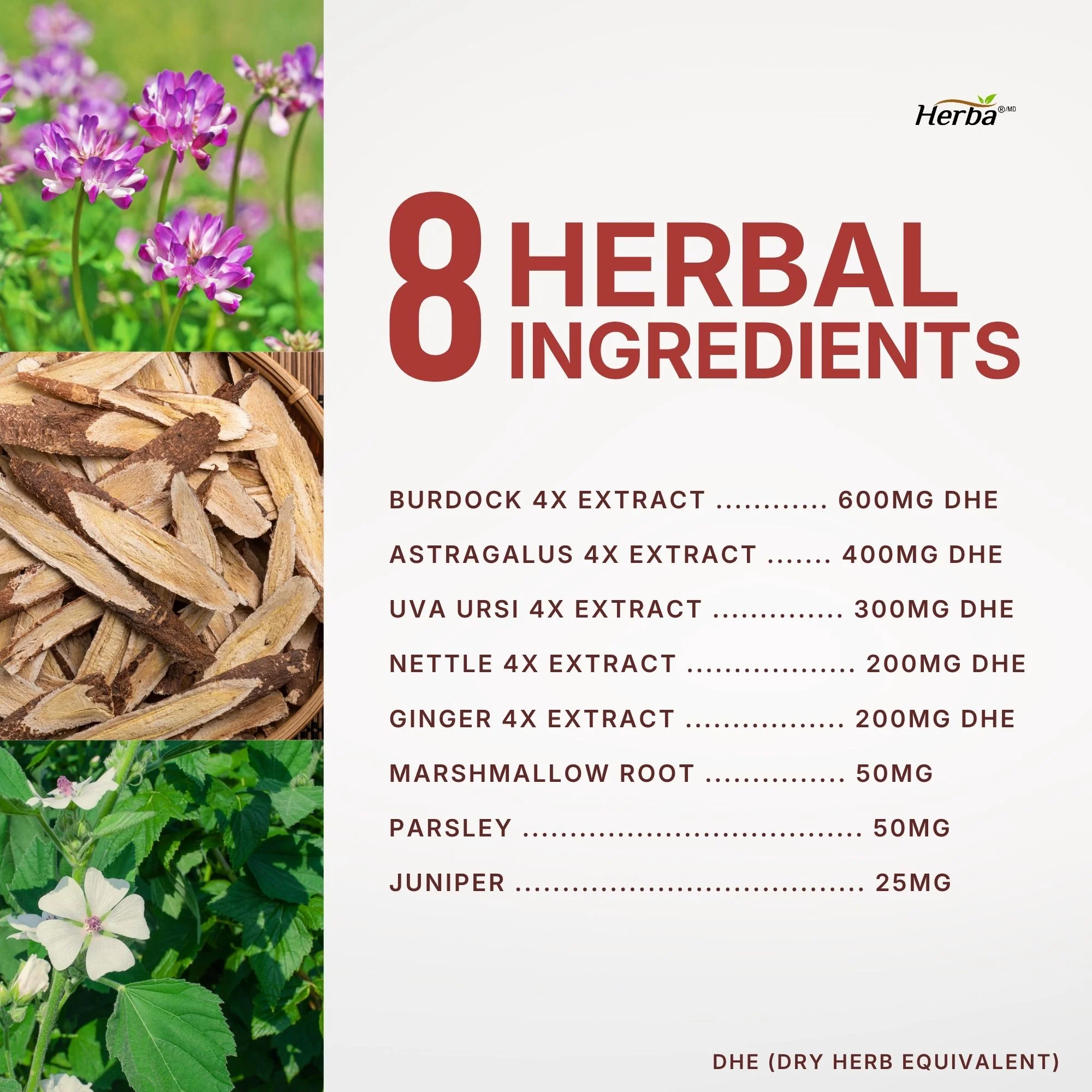 Kidney Cleanse Supplement – 120 Capsules | 8 Natural Ingredients to Support Kidney and Bladder Health - Image 6