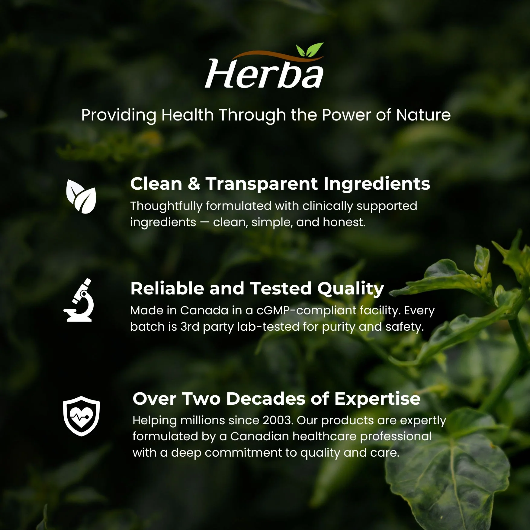 Organic Beet Root Supplement - 180 Capsules | 10,000mg Equivalent - 20:1 Extract Beetroot | Made in Canada - Image 10