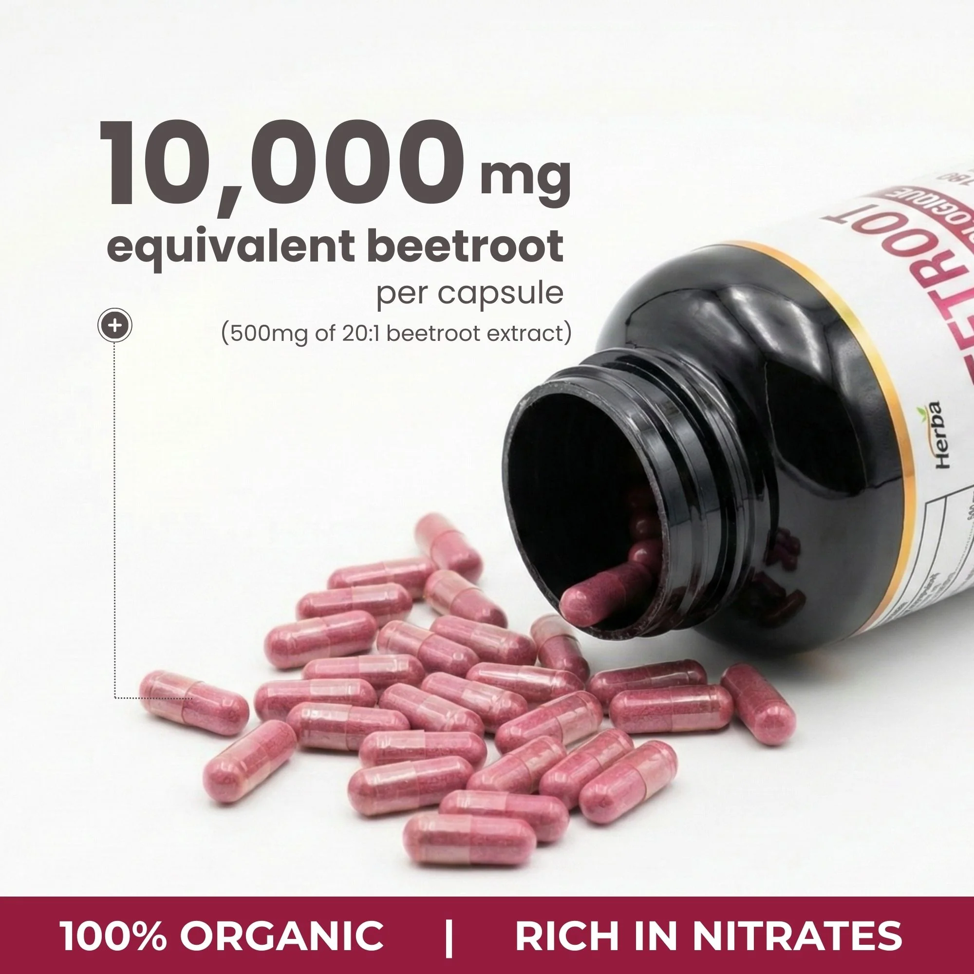 Organic Beet Root Supplement - 180 Capsules | 10,000mg Equivalent - 20:1 Extract Beetroot | Made in Canada - Image 4
