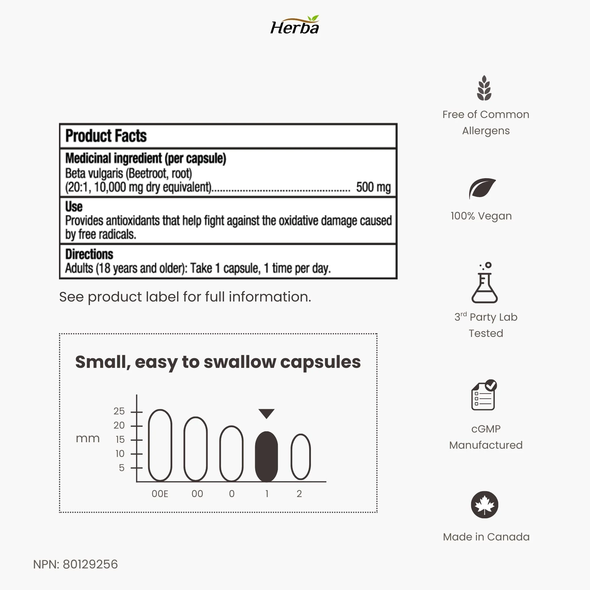 Organic Beet Root Supplement - 180 Capsules | 10,000mg Equivalent - 20:1 Extract Beetroot | Made in Canada - Image 9