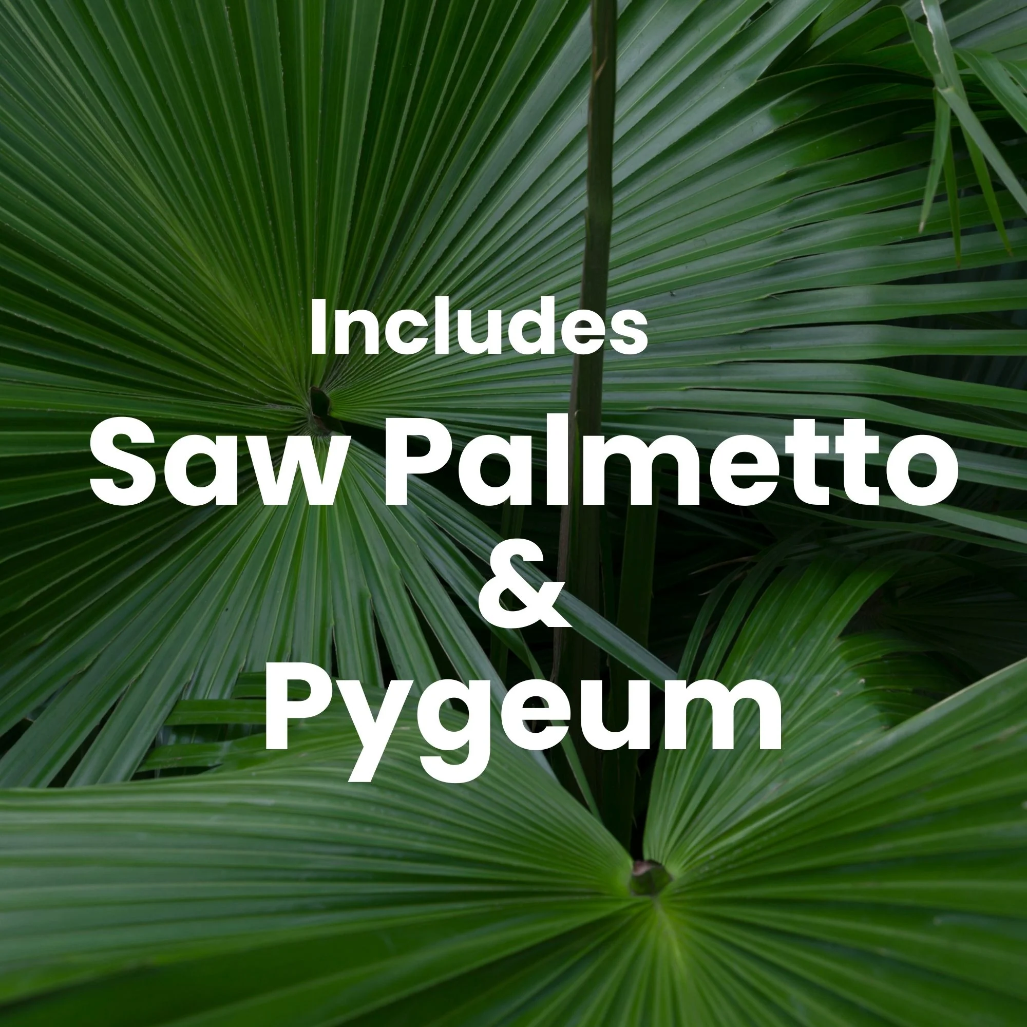 Prostate Max - Prostate Supplement for Men – 120 Capsules | 9 Natural Ingredients - Image 7