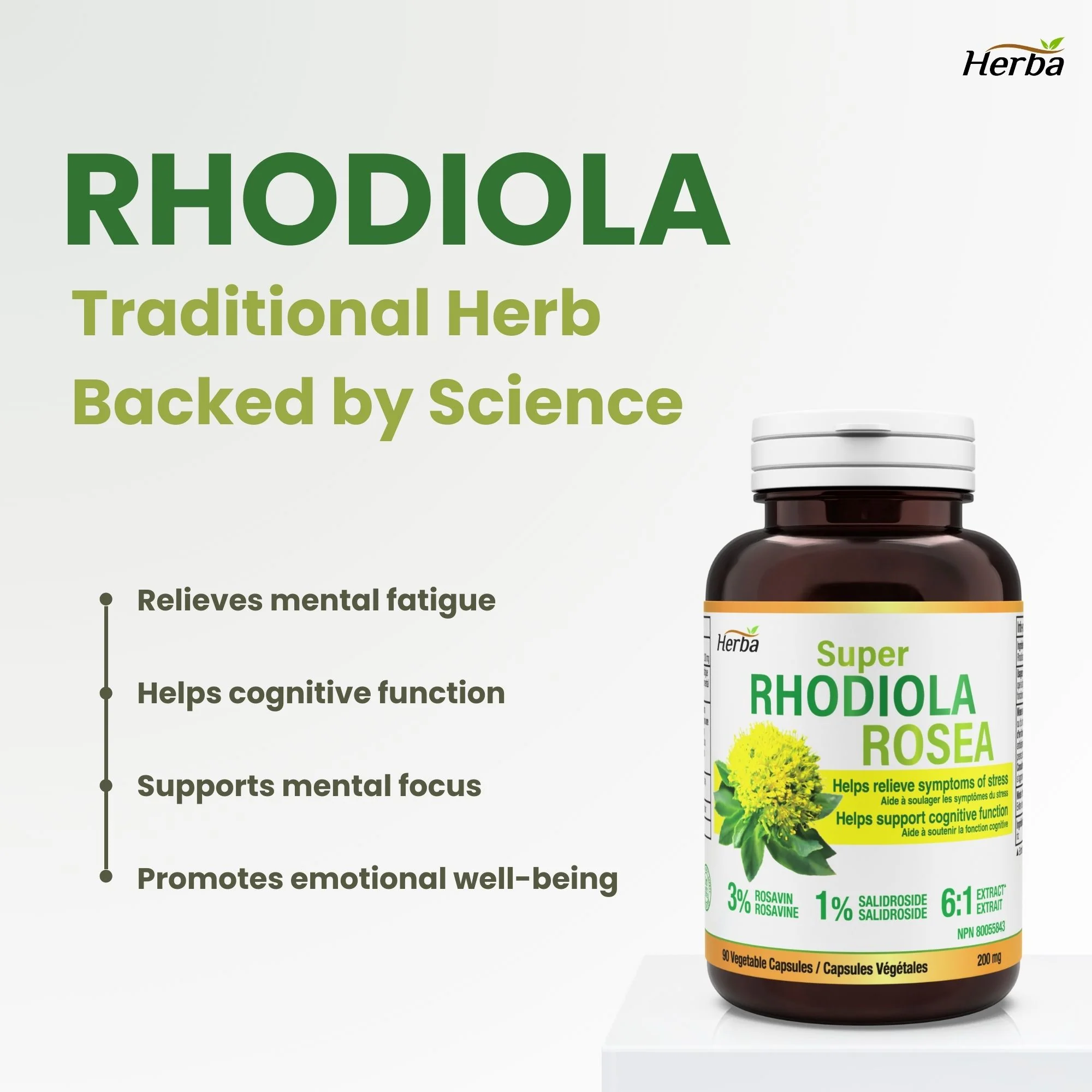 Rhodiola Rosea Supplement 200mg - 90 Vegetable Capsules | Made in Canada – 3% Rosavins and 1% Salidrosides - Image 3