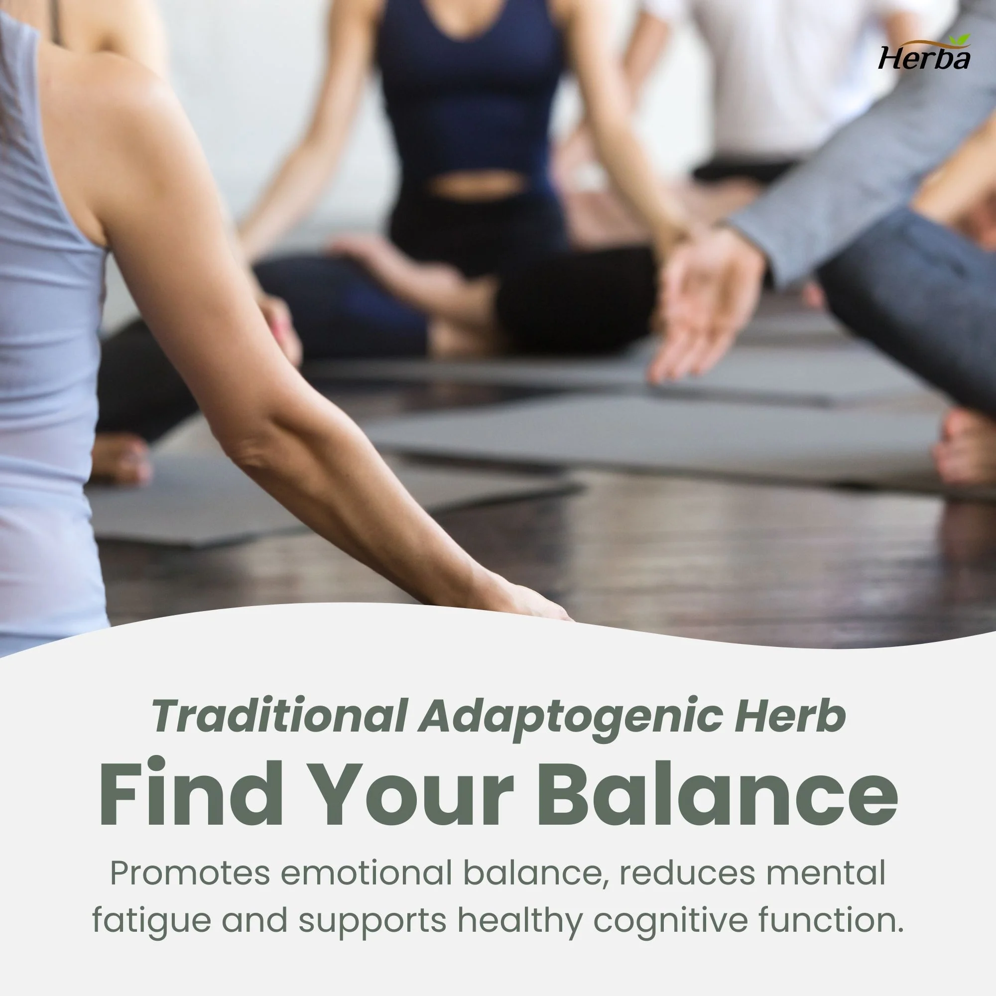 Rhodiola Rosea Supplement 200mg - 90 Vegetable Capsules | Made in Canada – 3% Rosavins and 1% Salidrosides - Image 6