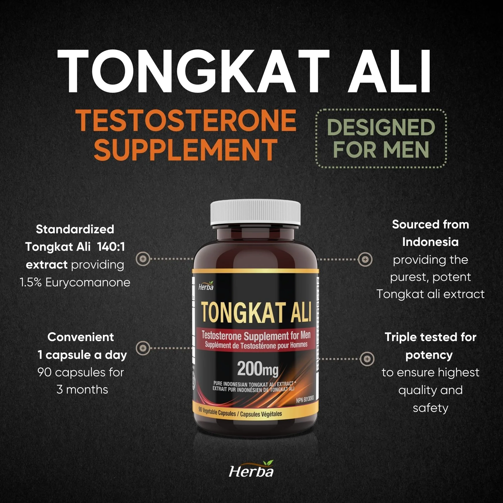 Pure Tongkat Ali Supplement for Men 200mg – 90 Capsules | Indonesian Tongkat-ali  Extract | Made in Canada - Image 3